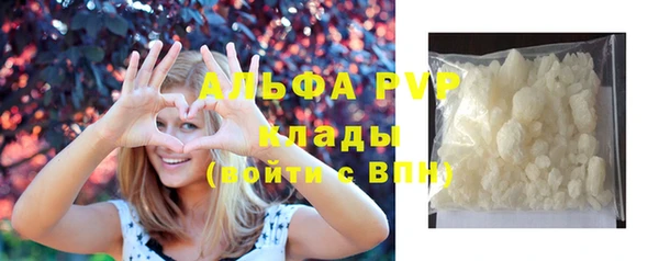 прущие крисы Бородино