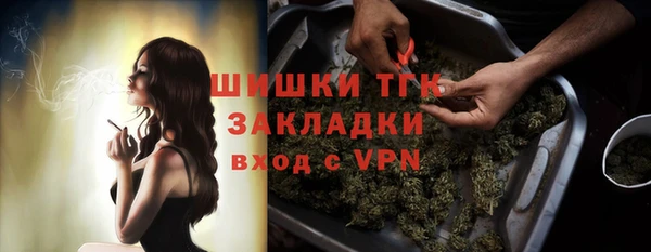 прущие крисы Бородино