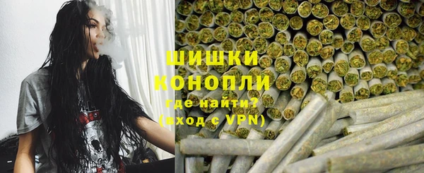 крисы Богородск