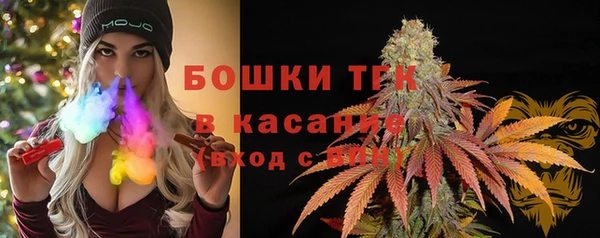 прущие крисы Бородино