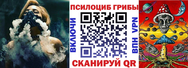 Галлюциногенные грибы Psilocybine cubensis Михайловск