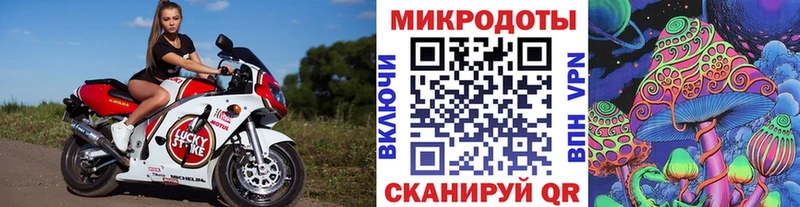 Галлюциногенные грибы GOLDEN TEACHER цена Михайловск
